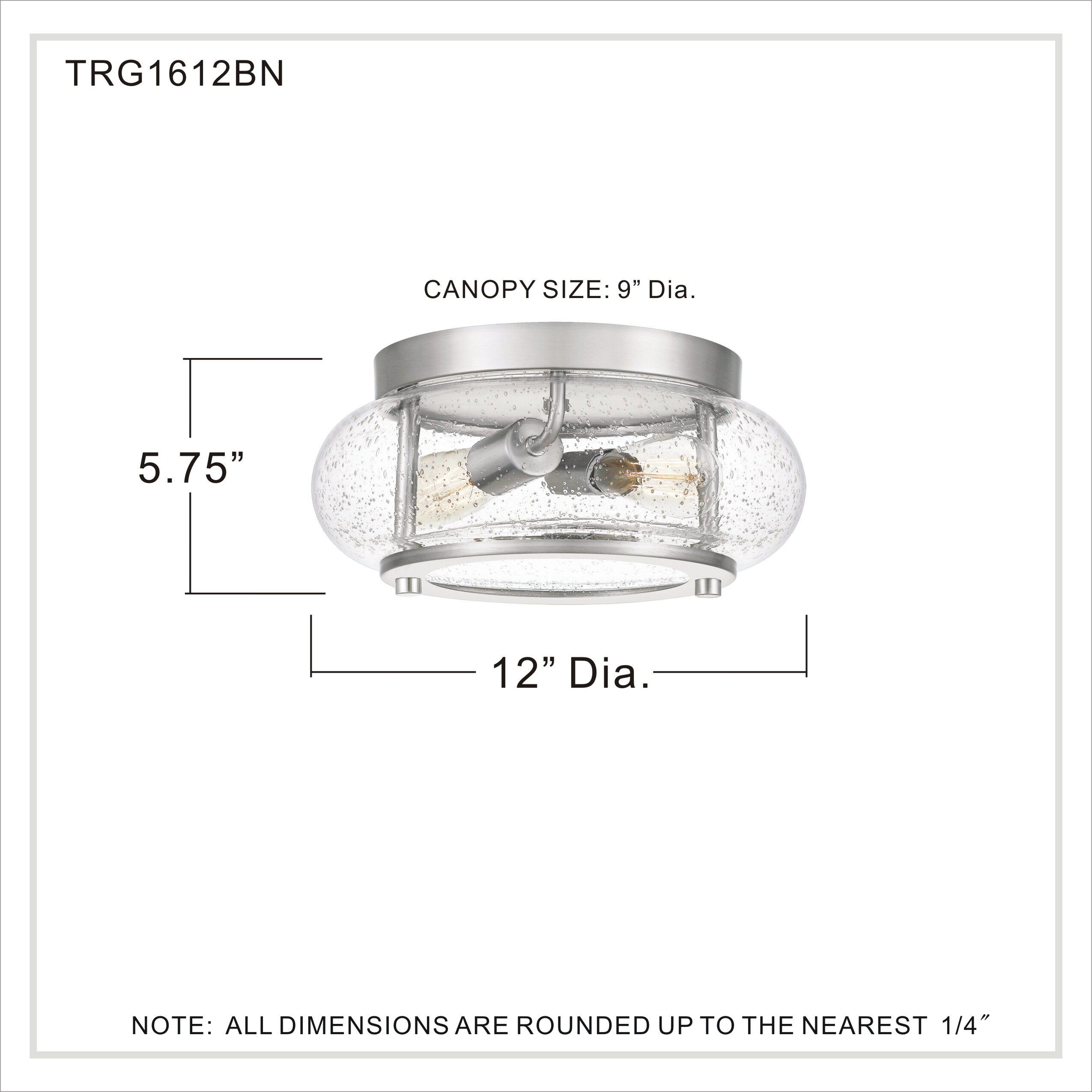 Trilogy 2 Light 12 inch Brushed Nickel Flush Mount Ceiling Light