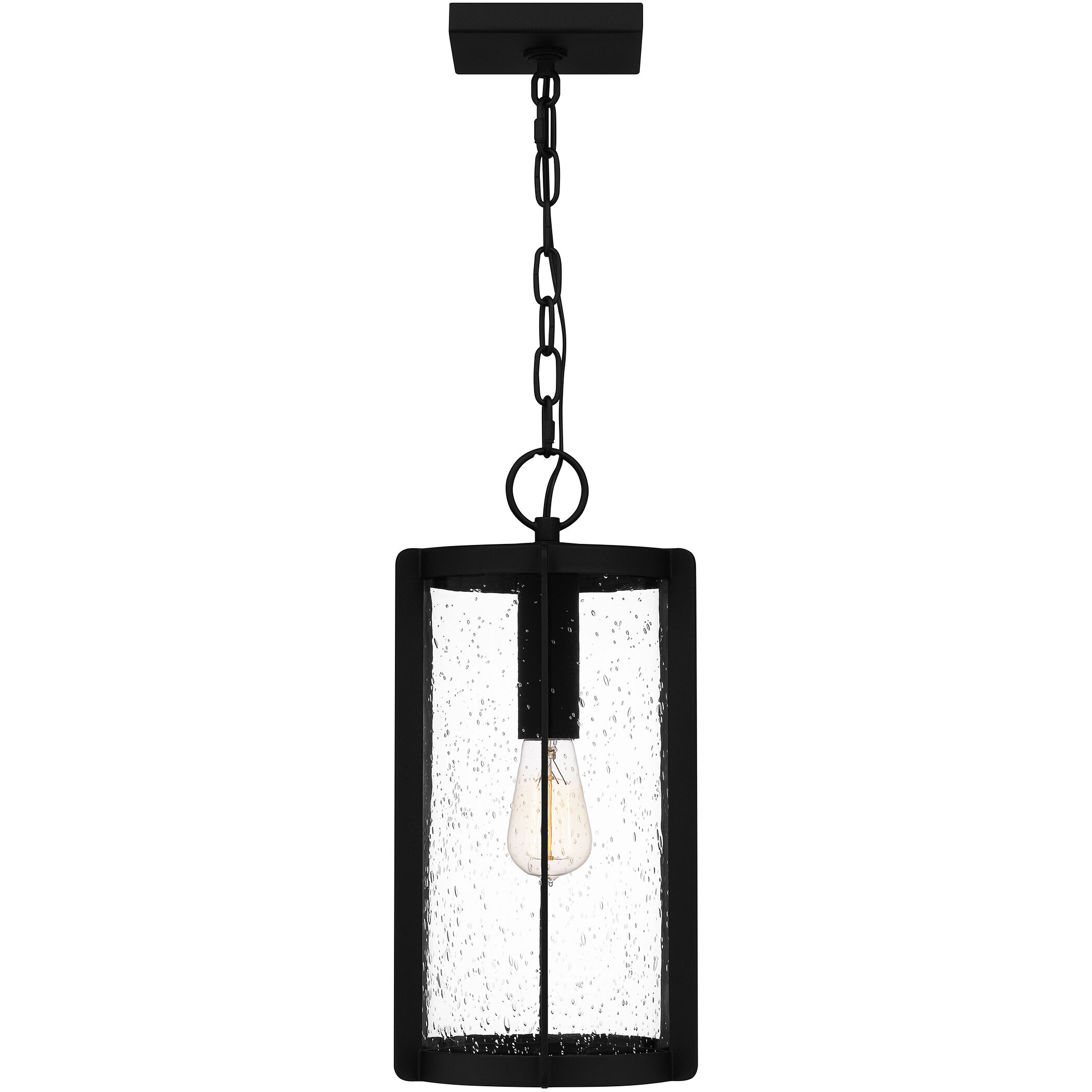 Hazel 1 Light 9 inch Earth Black Outdoor Hanging Lantern