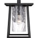 Lodge 1 Light 13 inch Mystic Black Outdoor Wall Lantern