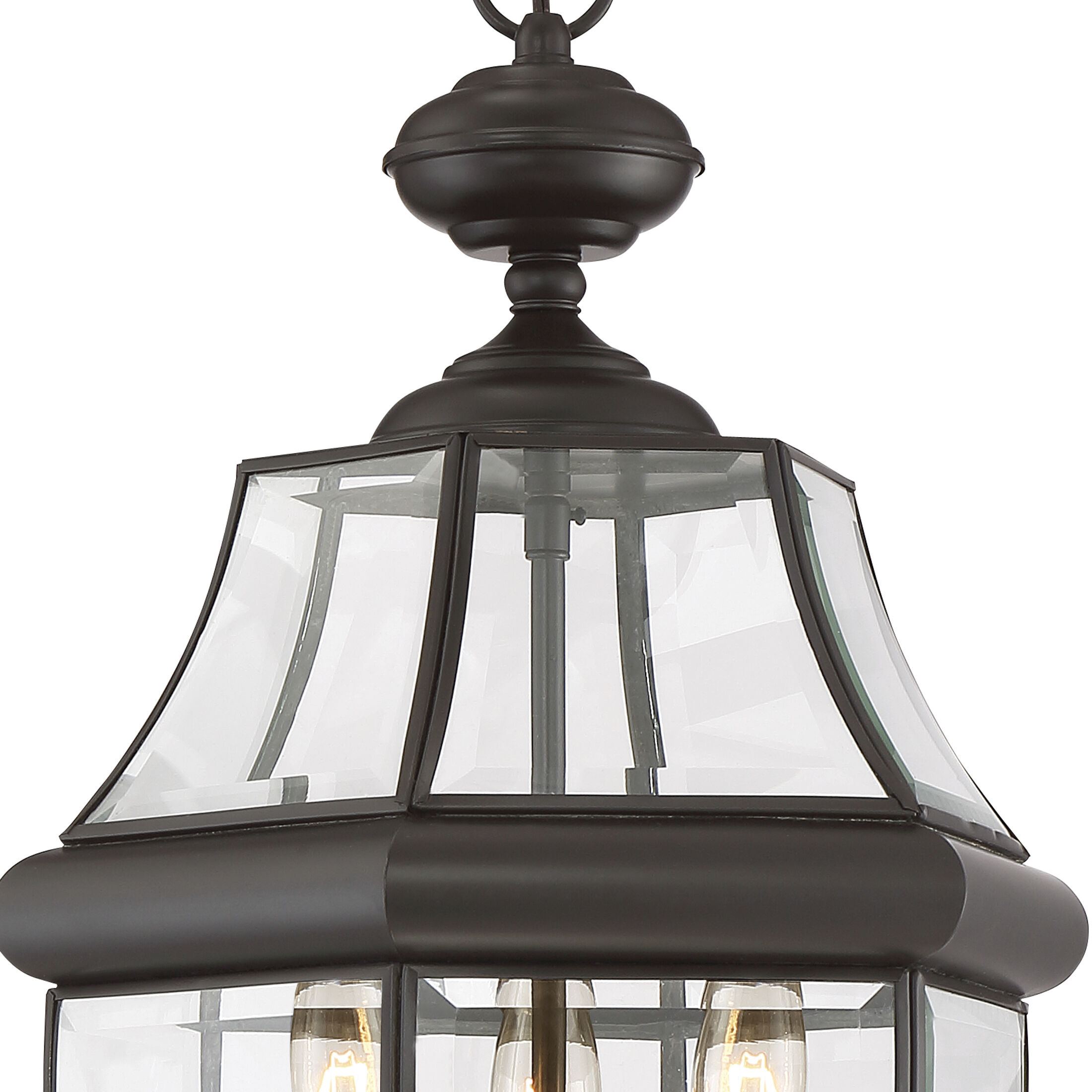 Quoizel Lighting Newbury 3 Light Outdoor Hanging Lantern in