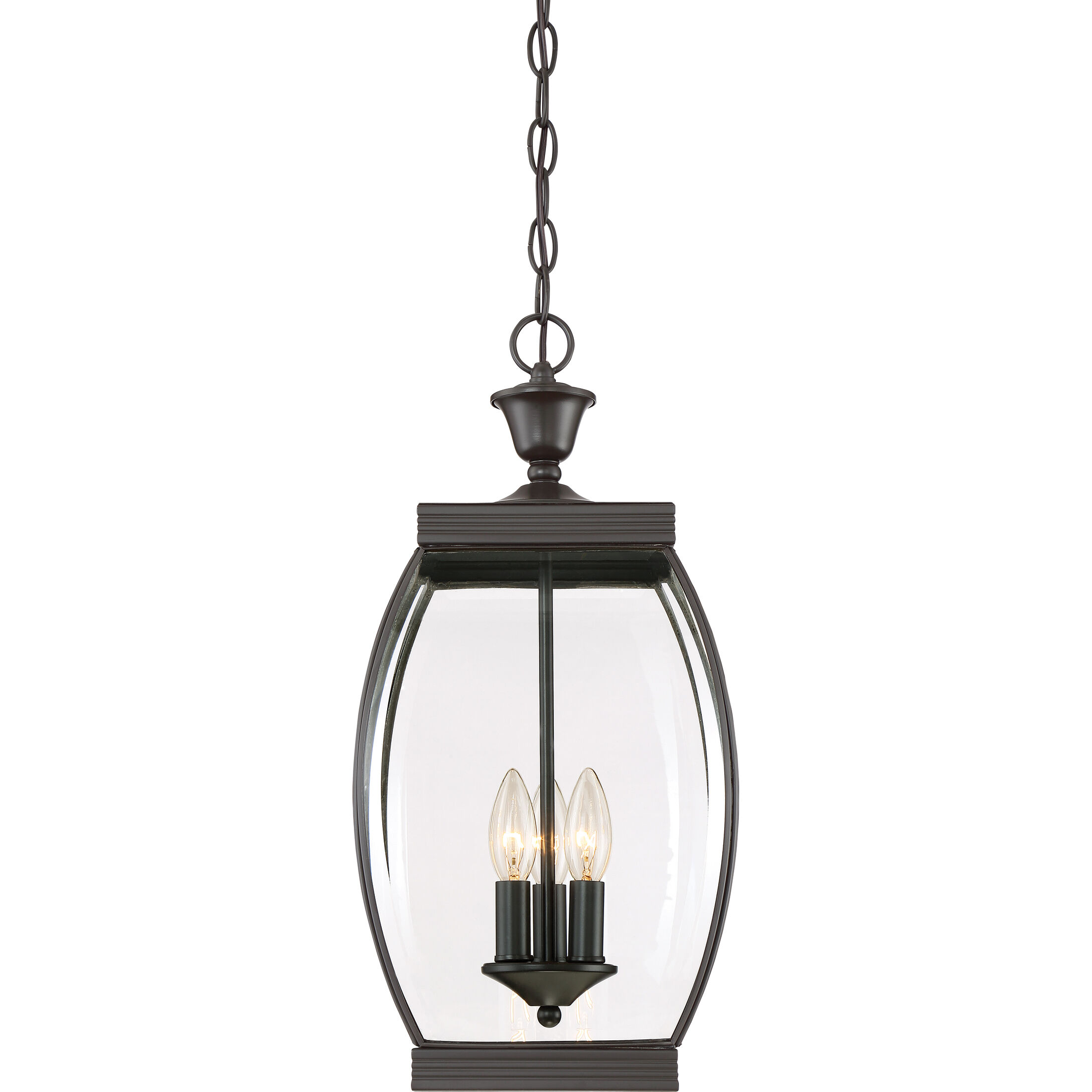 Oasis 3 Light 9 inch Medici Bronze Outdoor Hanging Lantern