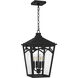 Jaxon 4 Light 10.75 inch Western Bronze Outdoor Hanging Lantern