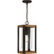 Marion Square 1 Light 8 inch Rustic Black Mini Pendant Ceiling Light, Small