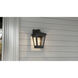 Huck 1 Light 10.5 inch Earth Black Outdoor Wall Lantern, Small