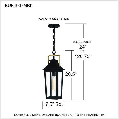 Buckley 1 Light 8 inch Matte Black Outdoor Hanging Lantern