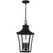 Quentin 4 Light 10 inch Earth Black Outdoor Hanging Lantern, Large