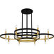 Winsland 16 Light 50 inch Matte Black Chandelier Ceiling Light