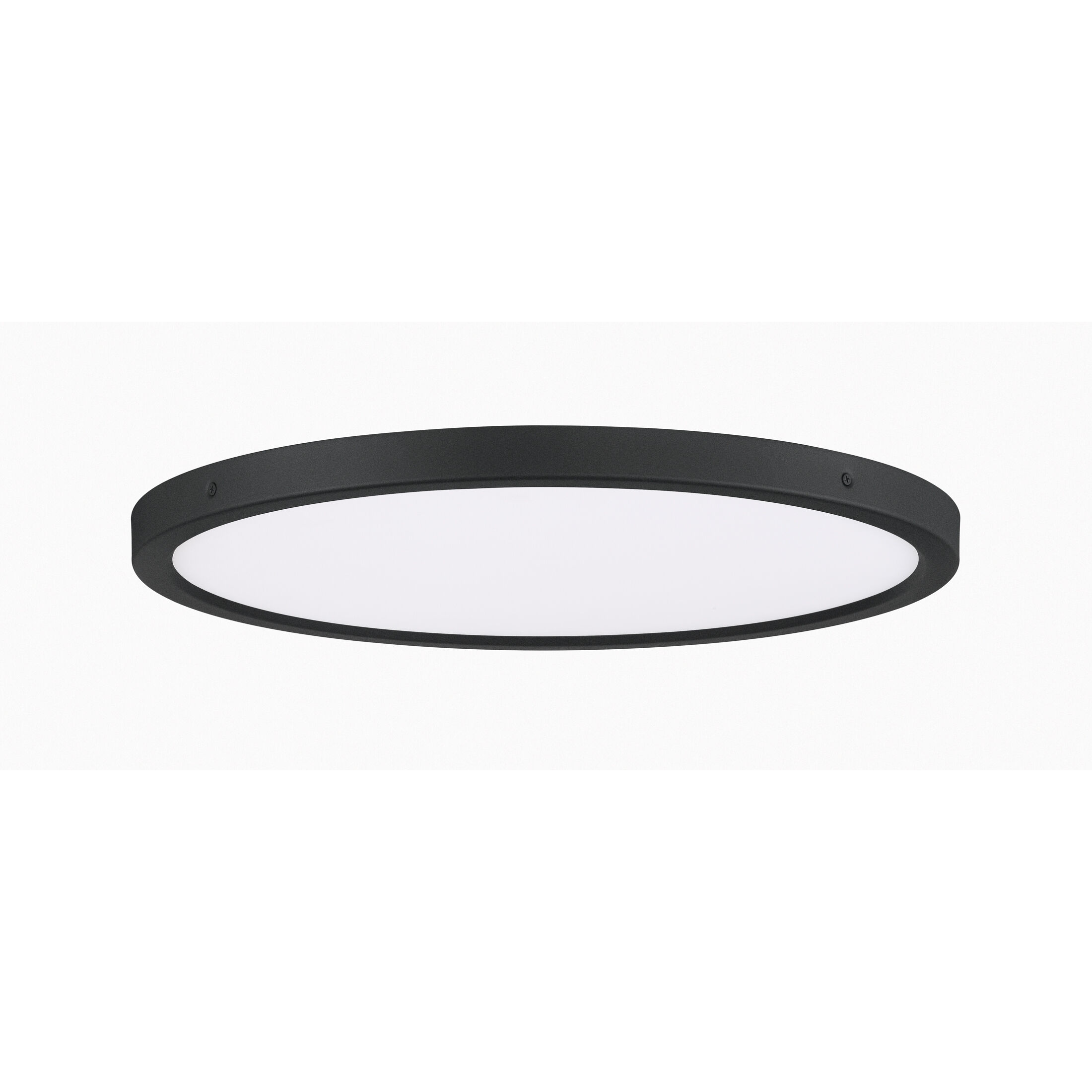 Outskirts 20 inch Earth Black Flush Mount Ceiling Light