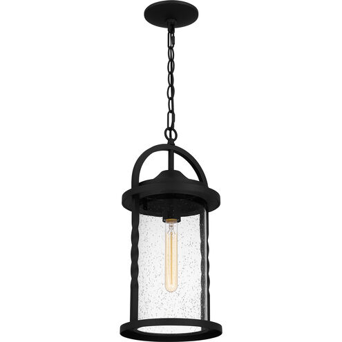 Reece 1 Light 8.75 inch Earth Black Outdoor Hanging Lantern
