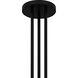 Winsland 12 Light 30 inch Matte Black Chandelier Ceiling Light