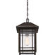 Cedar Point 1 Light 10 inch Palladian Bronze Outdoor Hanging Lantern