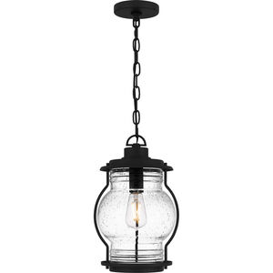 Luther 1 Light 9 inch Earth Black Outdoor Hanging Lantern, Large