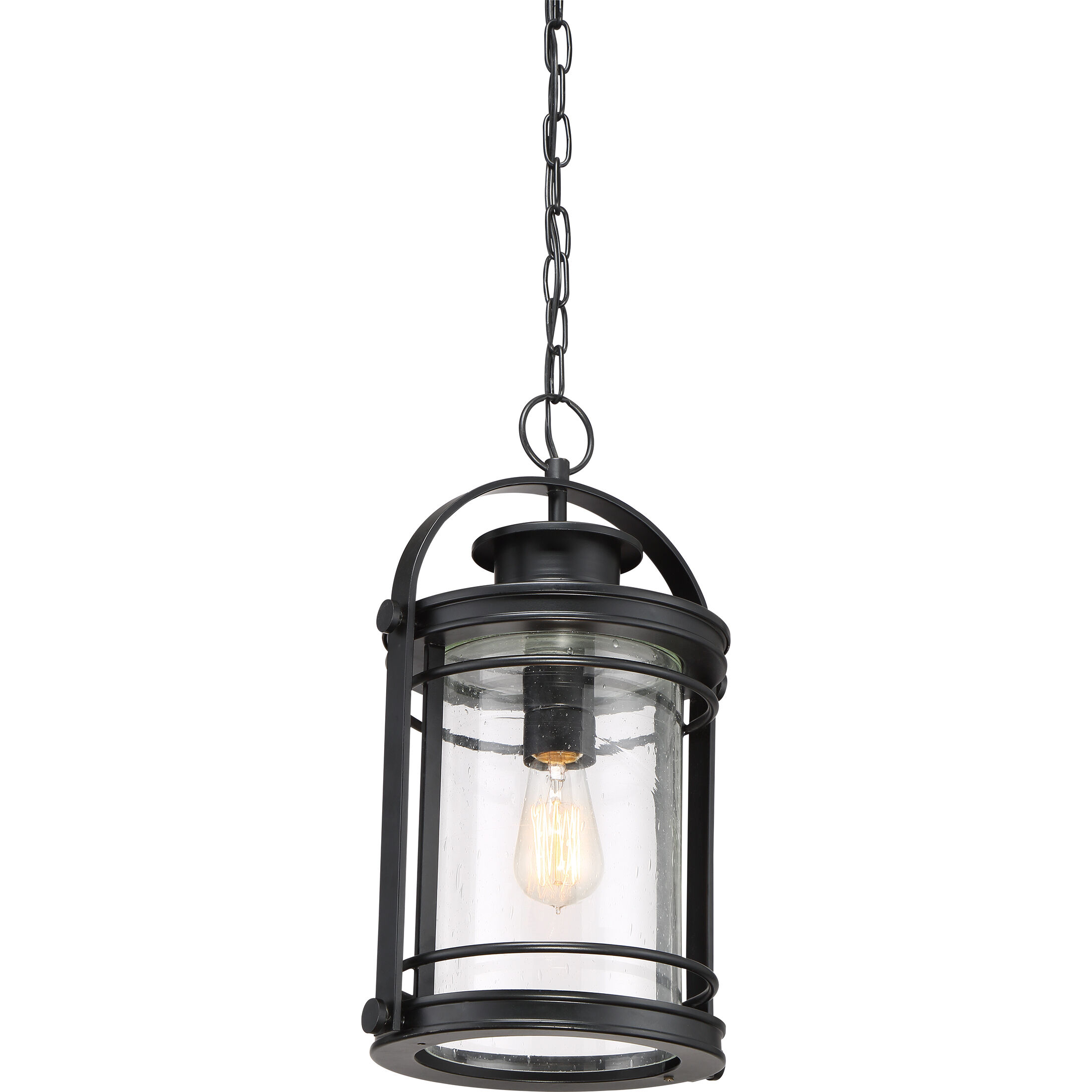 Booker 1 Light 11 inch Mystic Black Hanging Lantern Ceiling Light