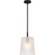Gray 1 Light 10 inch Matte Black Mini Pendant Ceiling Light, Small