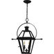 Rue De Royal 2 Light 21.25 inch Earth Black Outdoor Hanging Lantern, Large