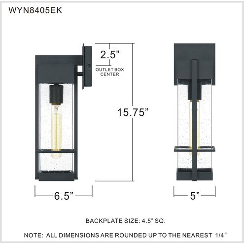 Wynn 1 Light 16 inch Earth Black Outdoor Wall Lantern