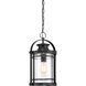 Booker 1 Light 11 inch Mystic Black Mini Pendant Ceiling Light, Small