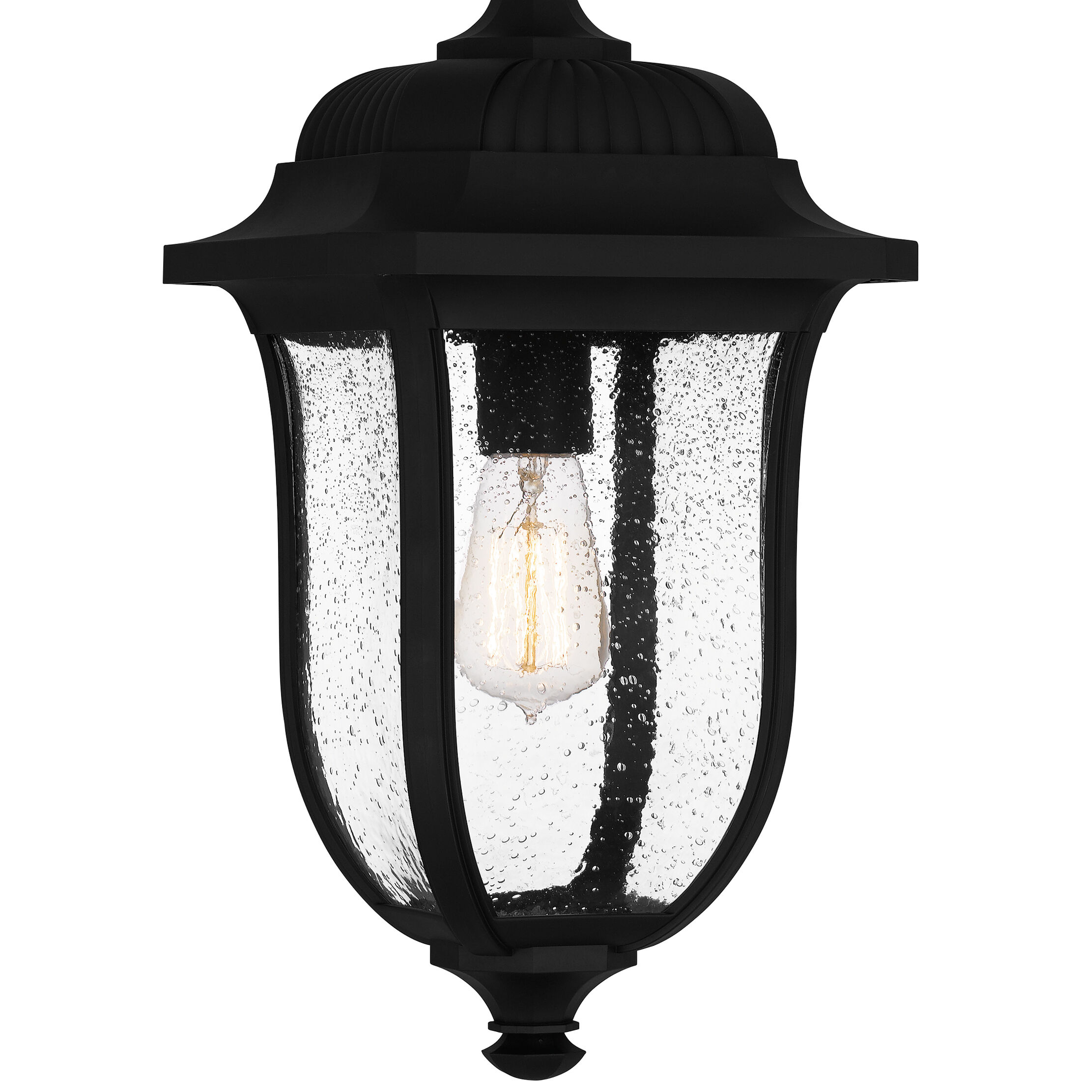 Mulberry 1 Light 9 inch Matte Black Outdoor Hanging Lantern