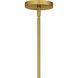 Cecily 9 Light 40 inch Brushed Gold Chandelier Ceiling Light