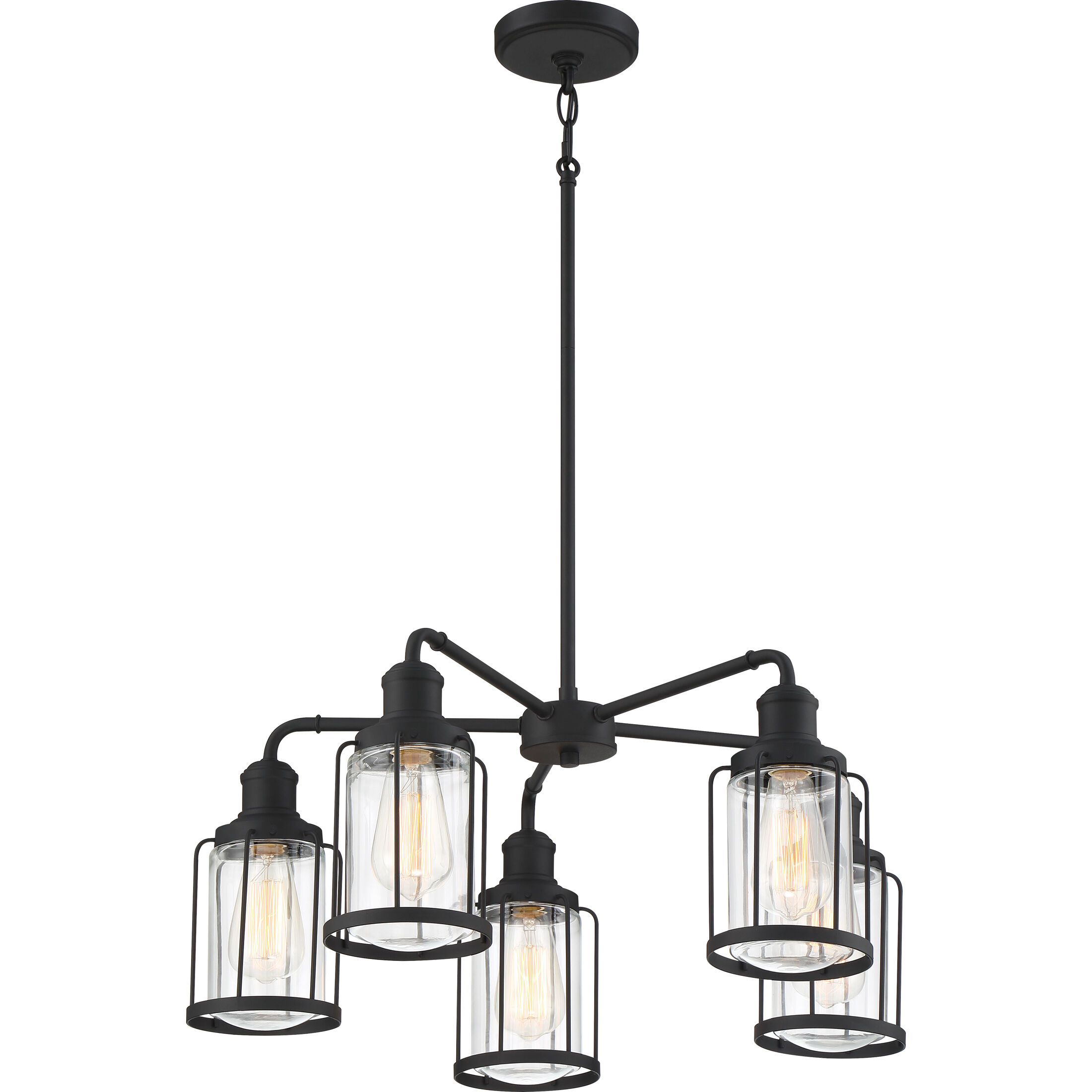 Ludlow 5 Light 25 inch Earth Black Chandelier Ceiling Light