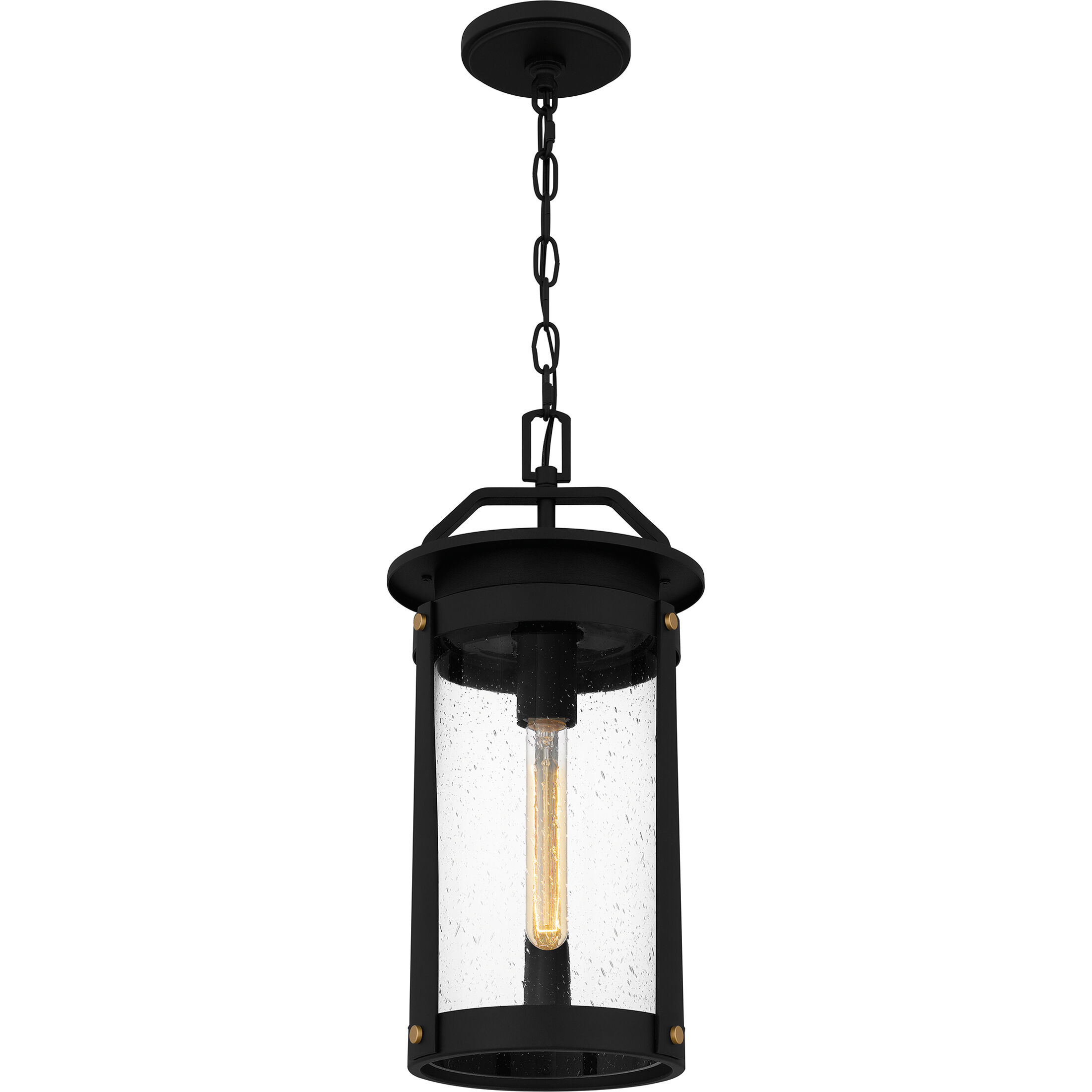 Clifton 1 Light 9 inch Earth Black Outdoor Hanging Lantern