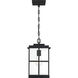 Mulligan 1 Light 8 inch Matte Black Outdoor Hanging Lantern