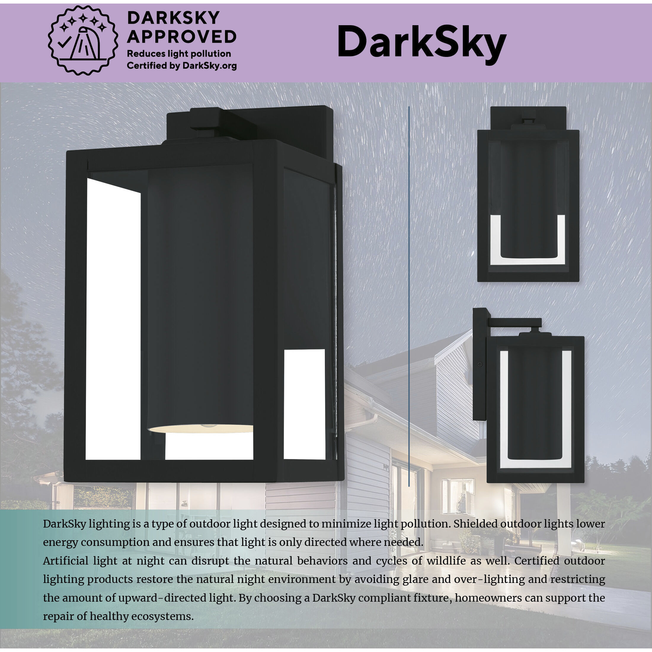 Westover LED 10 inch Earth Black Outdoor Wall Lantern, Small