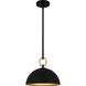 Cleo 1 Light 12 inch Matte Black Pendant Ceiling Light