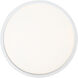 Outskirts LED 15 inch Fresco Flush Mount Ceiling Light in Italian Fresco