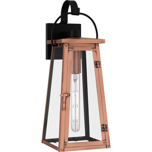 Carolina 1 Light 7 inch Aged Copper Outdoor Lantern, Large