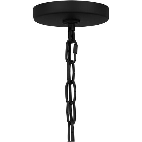 Brampton 1 Light 9.5 inch Matte Black Outdoor Hanging Lantern