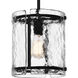 Fortress 1 Light 9 inch Earth Black Mini Pendant Ceiling Light