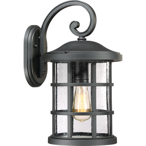 Crusade 1 Light 18 inch Earth Black Outdoor Wall Lantern