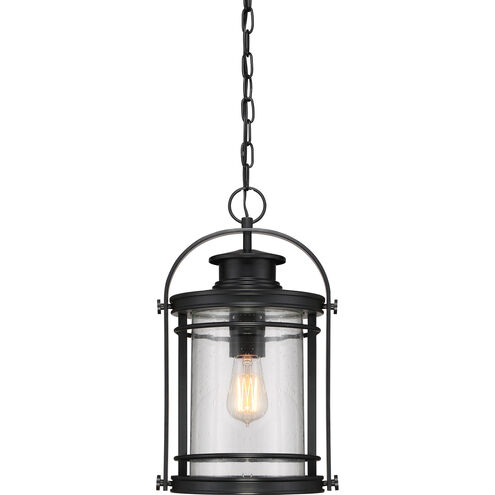 Booker 1 Light 11 inch Mystic Black Hanging Lantern Ceiling Light