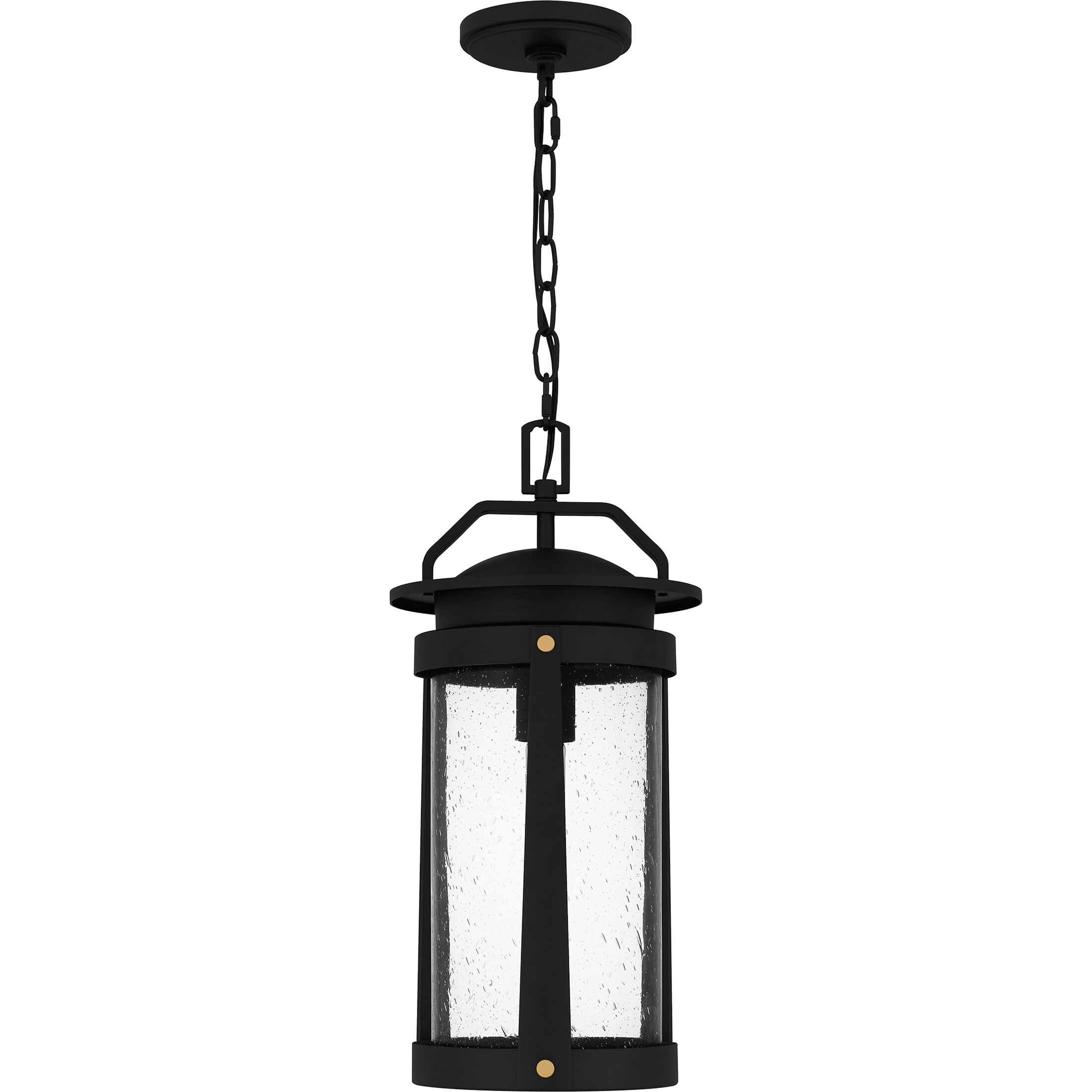 Clifton 1 Light 9 inch Earth Black Outdoor Hanging Lantern