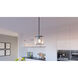 Fortress 1 Light 9 inch Earth Black Mini Pendant Ceiling Light