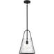 Briley 1 Light 11.5 inch Matte Black Mini Pendant Ceiling Light