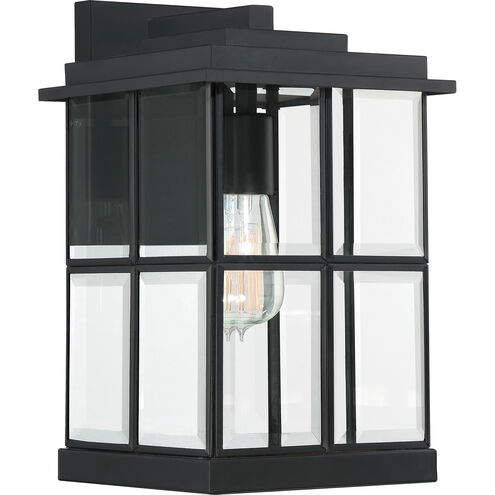 Mulligan 1 Light 13 inch Matte Black Outdoor Wall Lantern
