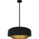 Frankie 4 Light 22 inch Matte Black Pendant Ceiling Light, Large
