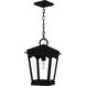 Huck 1 Light 10 inch Earth Black Mini Pendant Ceiling Light, Small