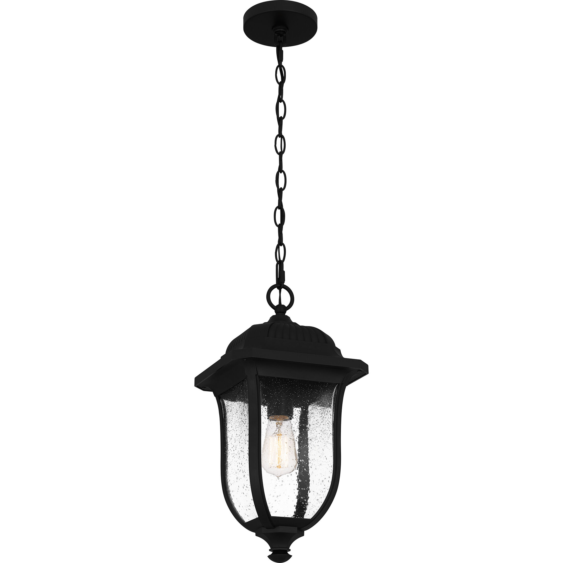 Mulberry 1 Light 9 inch Matte Black Outdoor Hanging Lantern