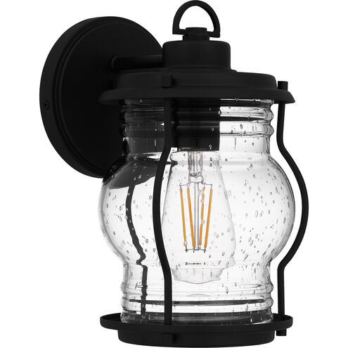 Luther Outdoor Wall Lantern, Small