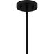Driscoll 1 Light 10 inch Matte Black Mini Pendant Ceiling Light