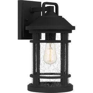 Quincy 1 Light 16 inch Earth Black Outdoor Wall Lantern, Large