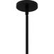 Frankie 4 Light 22 inch Matte Black Pendant Ceiling Light, Large