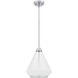 Haze 1 Light 10.5 inch Polished Chrome Mini Pendant Ceiling Light, Small