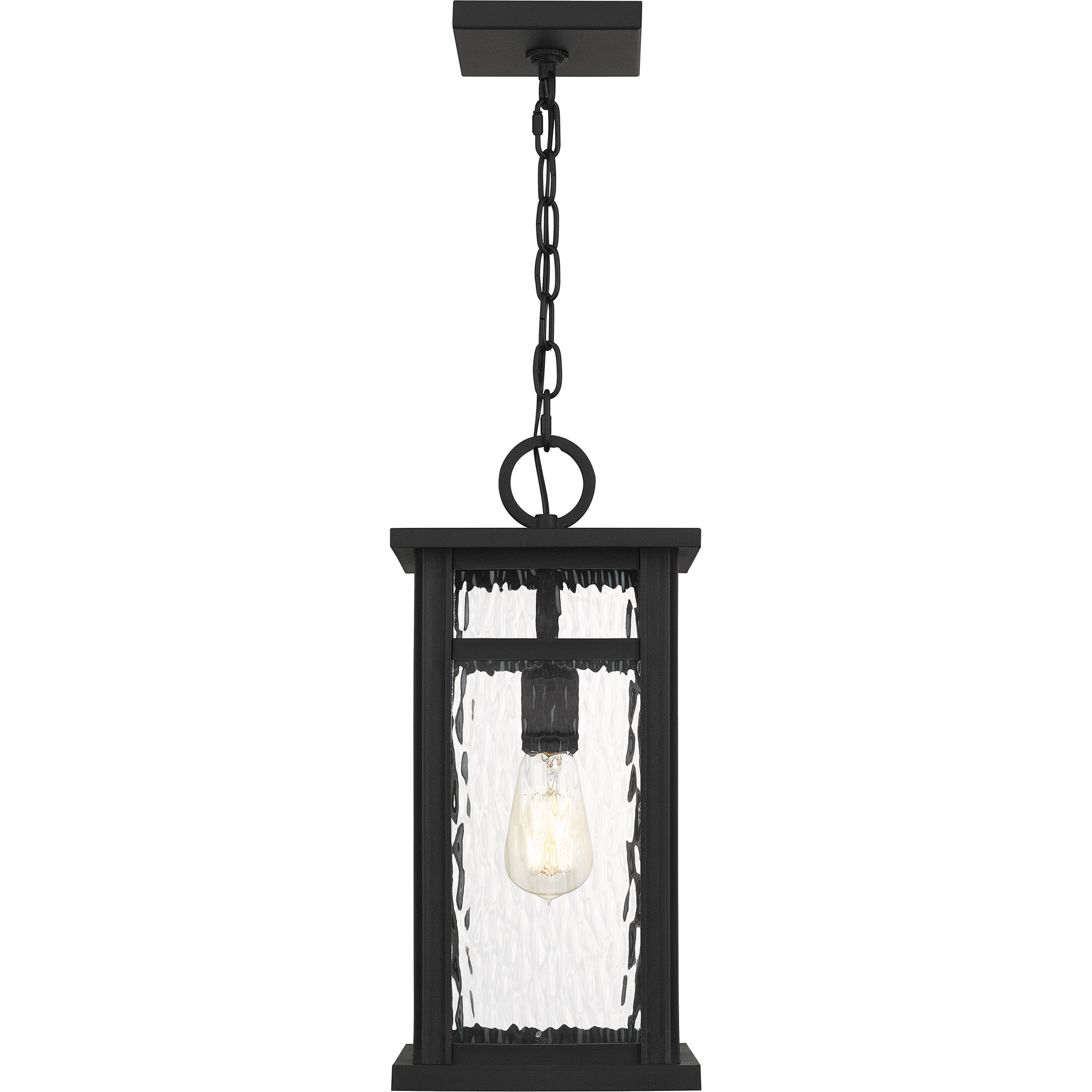 Moira 1 Light 8 inch Earth Black Outdoor Hanging Lantern, Large