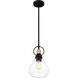 Singh 1 Light 8 inch Matte Black Mini Pendant Ceiling Light