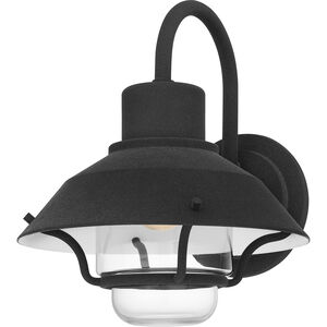 Lavalier 1 Light 11 inch Mottled Black Outdoor Lantern, Large