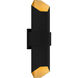 Chasm LED 21 inch Matte Black Gold Outdoor Wall Lantern
